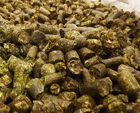 LUZERNE EN PELLETS